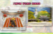 index_01e