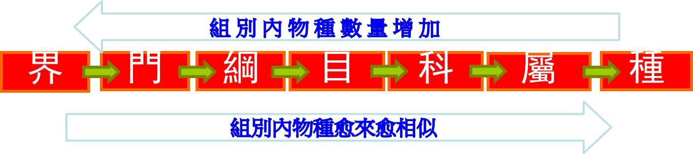 界-包括生物數量最多; 種,生物最相似