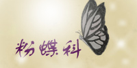 粉蝶科