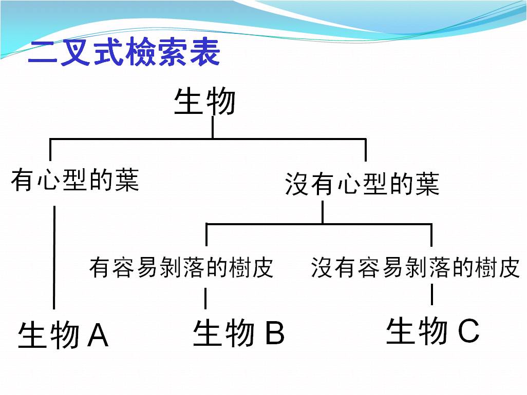 二叉式檢索表