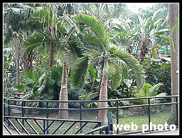 香港動植物公園2