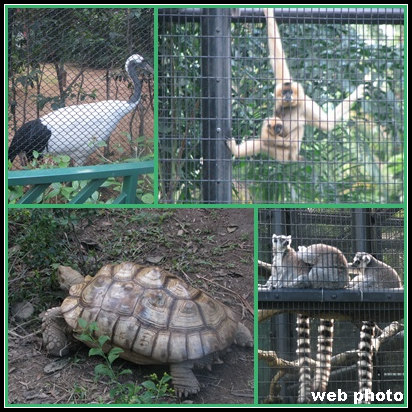 香港動植物公園3