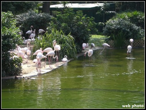 九龍公園3