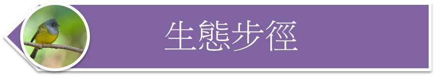 生態步徑