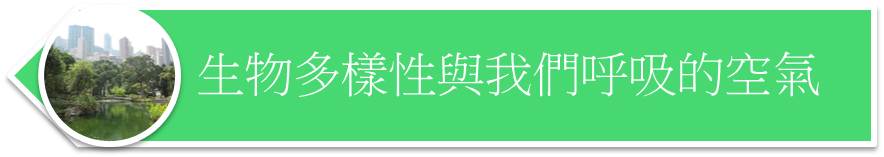 生物多樣性與我們呼吸的空氣