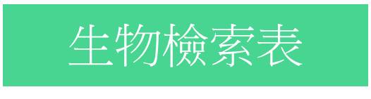 生物檢索表