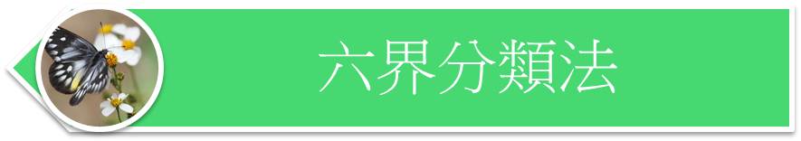 分類系統