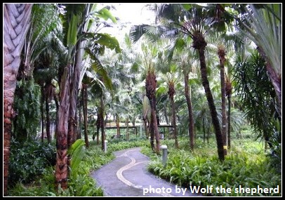 維多利亞公園2
