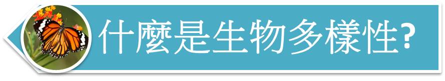 什麼是生物多樣性